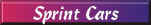 button sprint.jpg (4247 bytes)